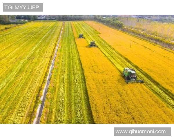 盐城大丰港战队奋力拼搏创佳绩 助力地方经济发展与体育事业崛起