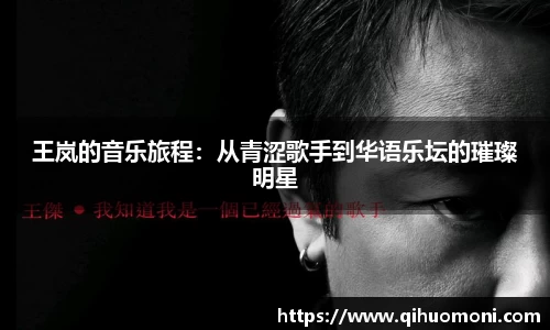 王岚的音乐旅程：从青涩歌手到华语乐坛的璀璨明星